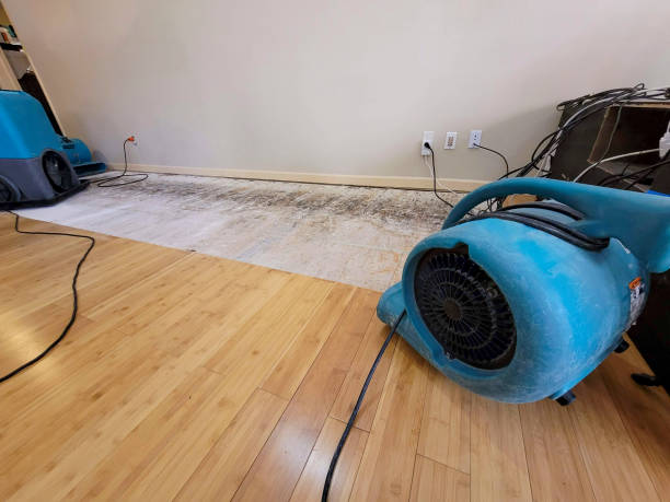Professional Water Damage Repair technician working in Parker, WA